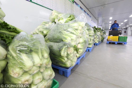 貴州遵義 構建農產品產供銷一條龍體系，以食用農產品初加工保障食品安全